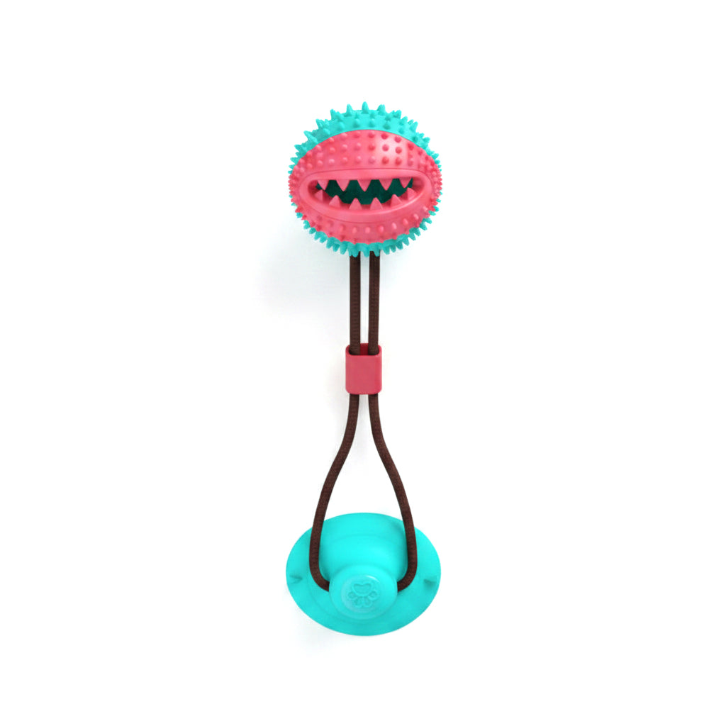 Cup Tug Toy