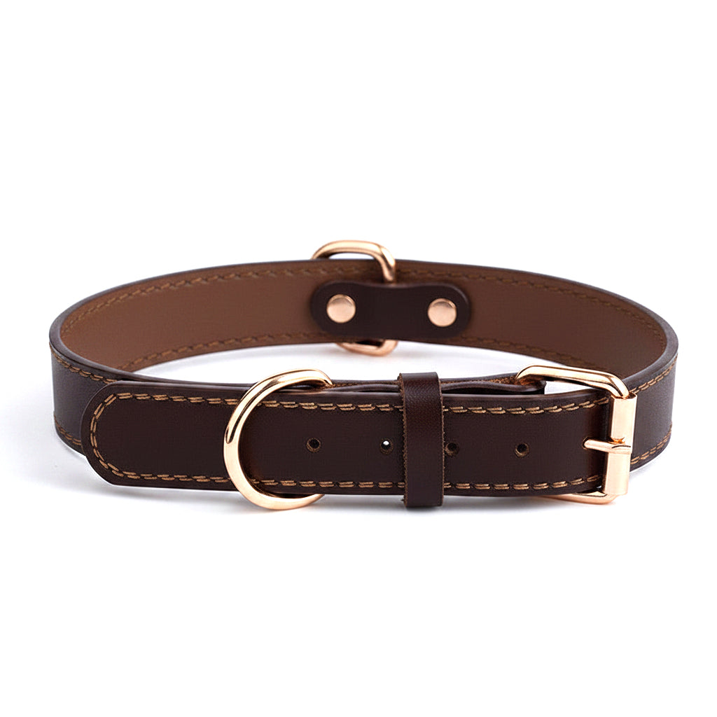 Coleira Leather Basic